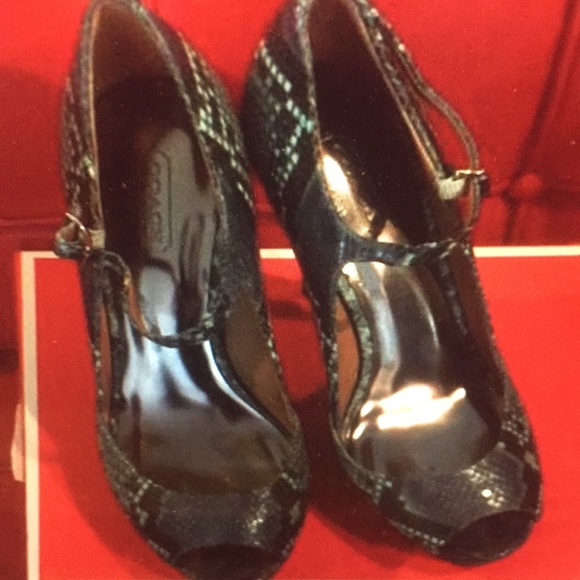 AUTHENTIC COACH SHOE - PRINTED SNAKE - Picture 6 of 7